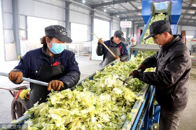 廢菜葉回收處理工藝流程