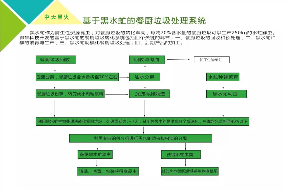 黑水虻處理餐廚垃圾處理設(shè)備及工藝流程圖